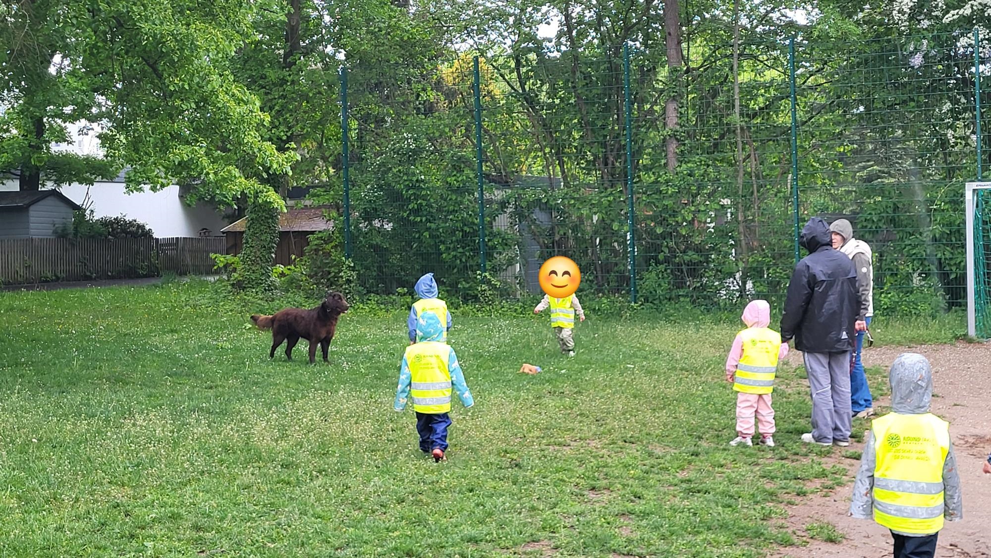 Ausflug der Frösche mit Hund Rudi (1)