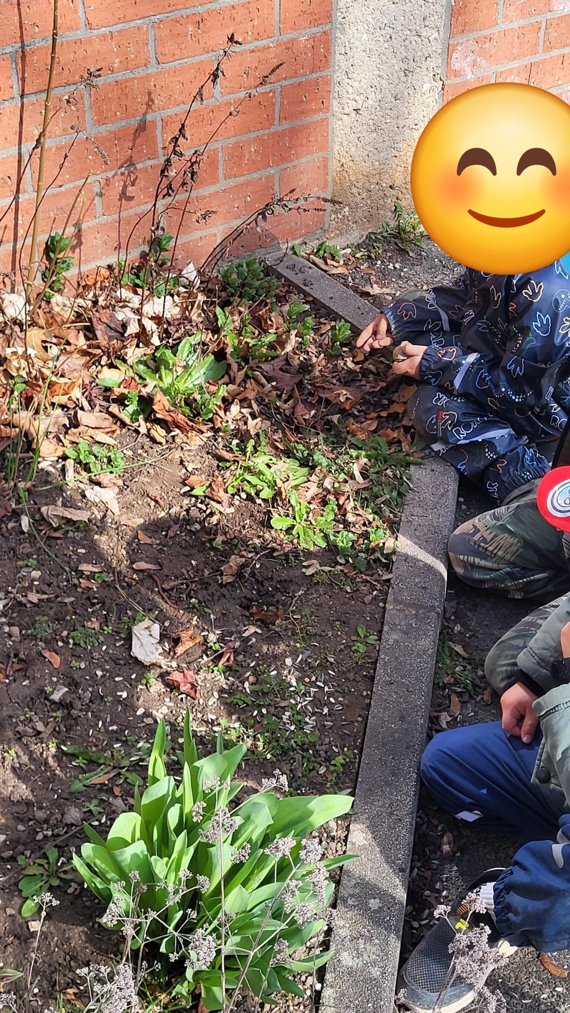 Das große Krabbeln im Garten