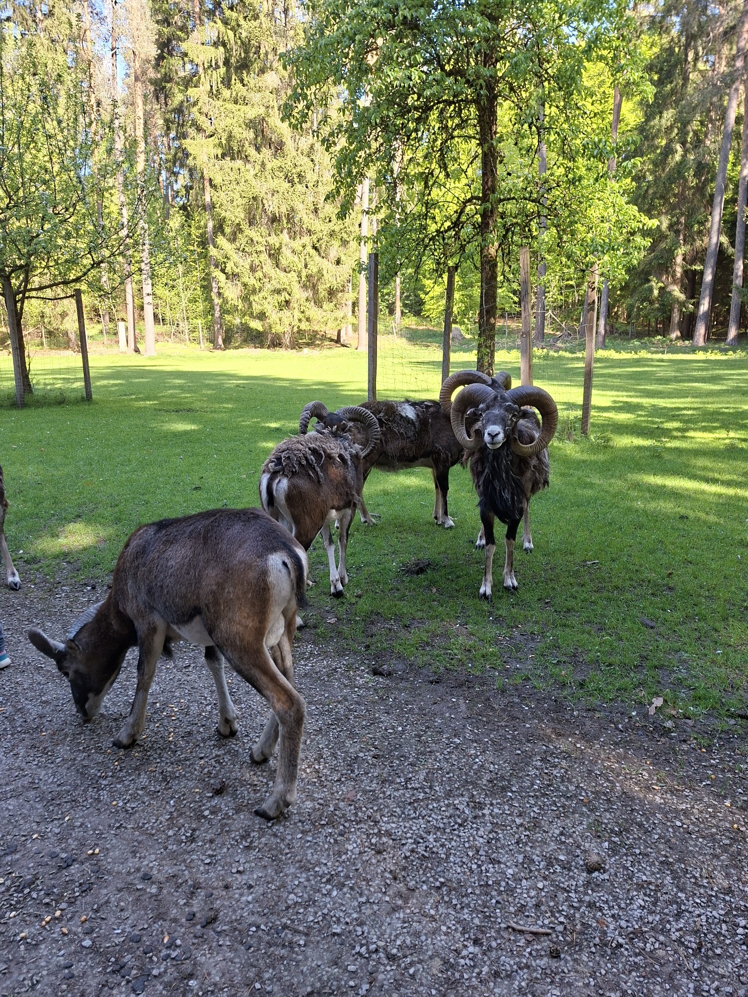 Familienausflug 2