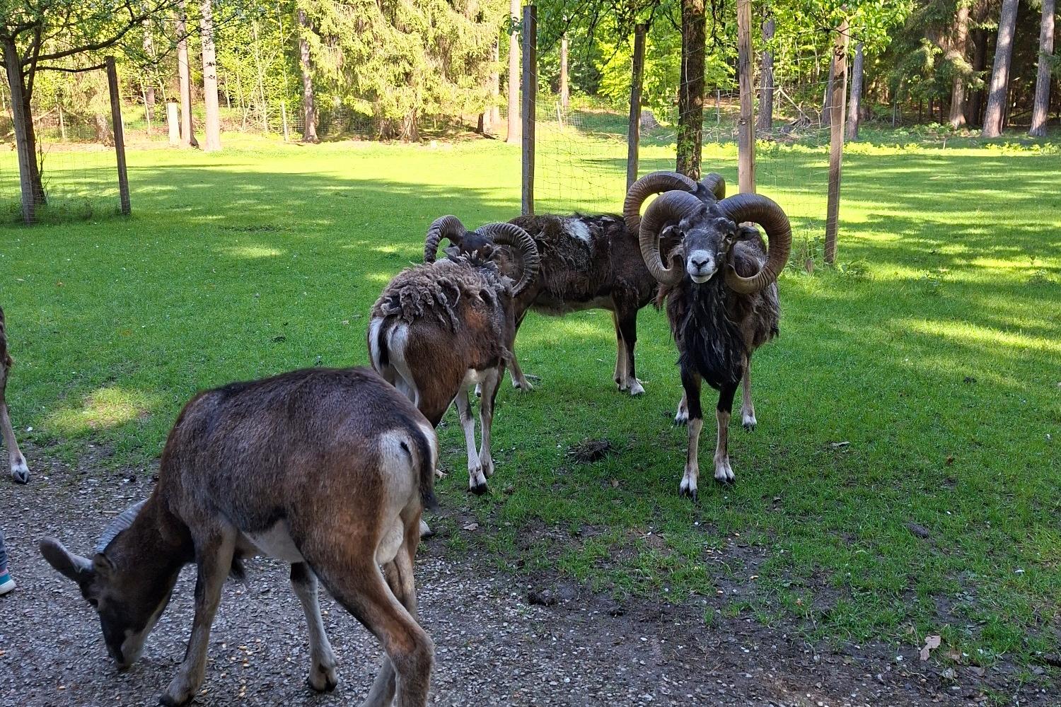 Familienausflug 2