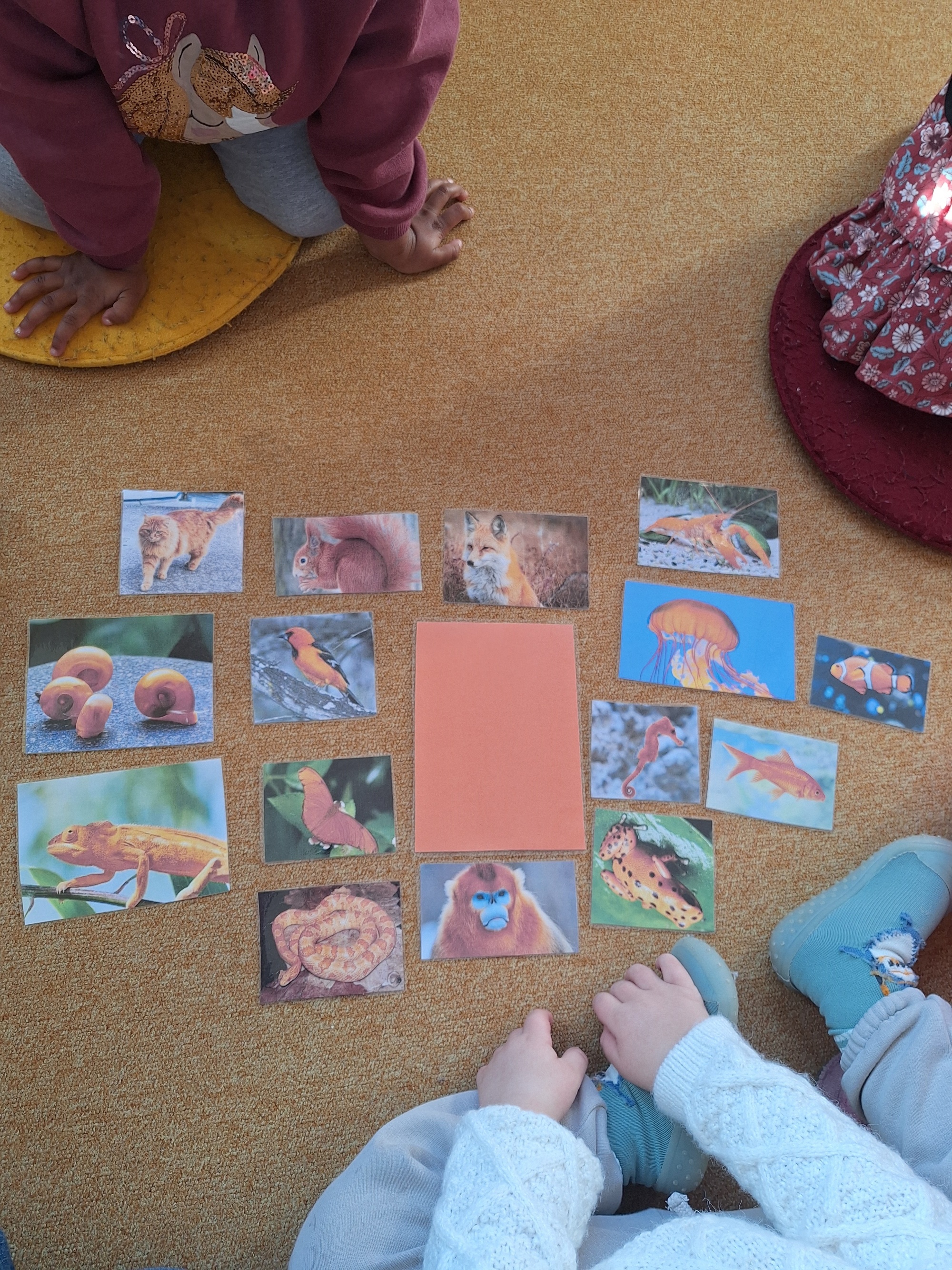 Farbenland Tiere benennen u. kennenlernen