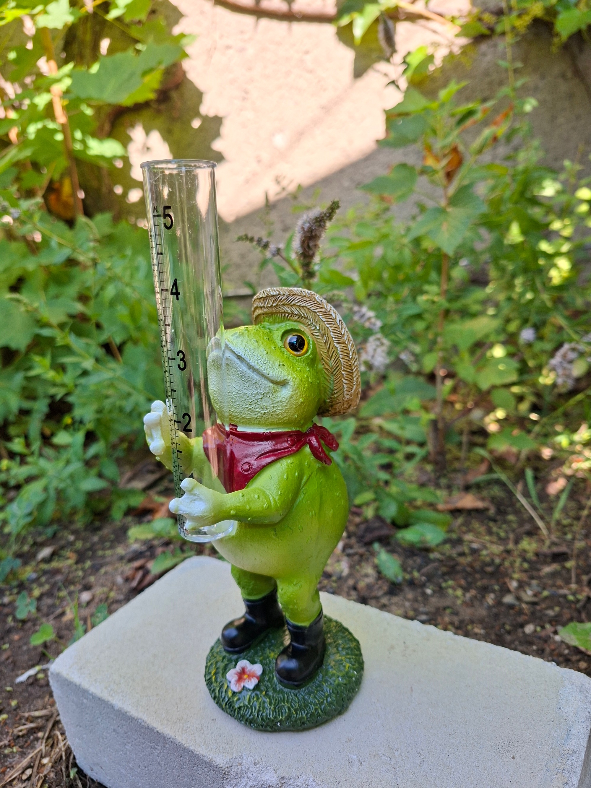 Fridolin Wasserfrosch