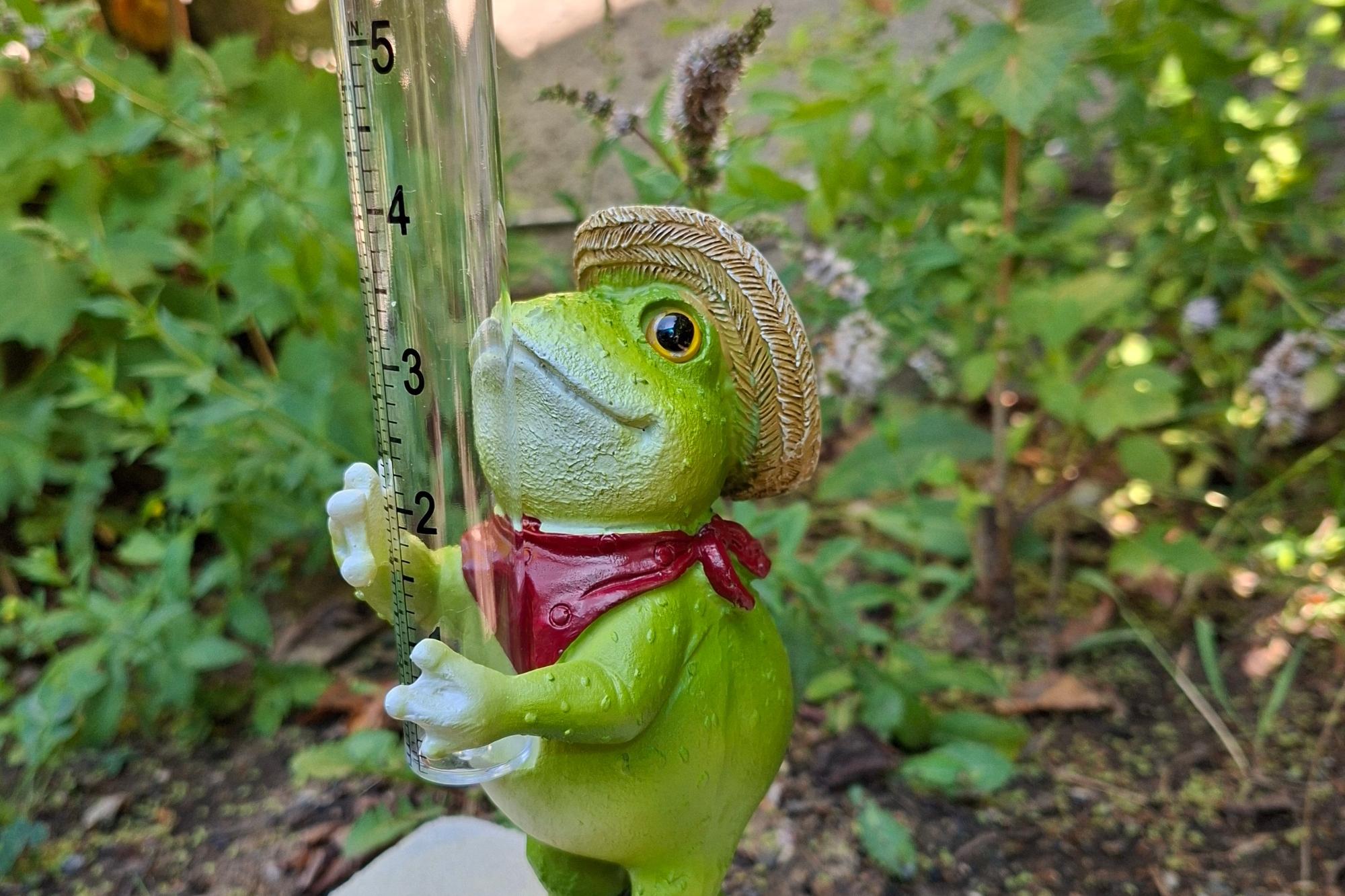 Fridolin Wasserfrosch
