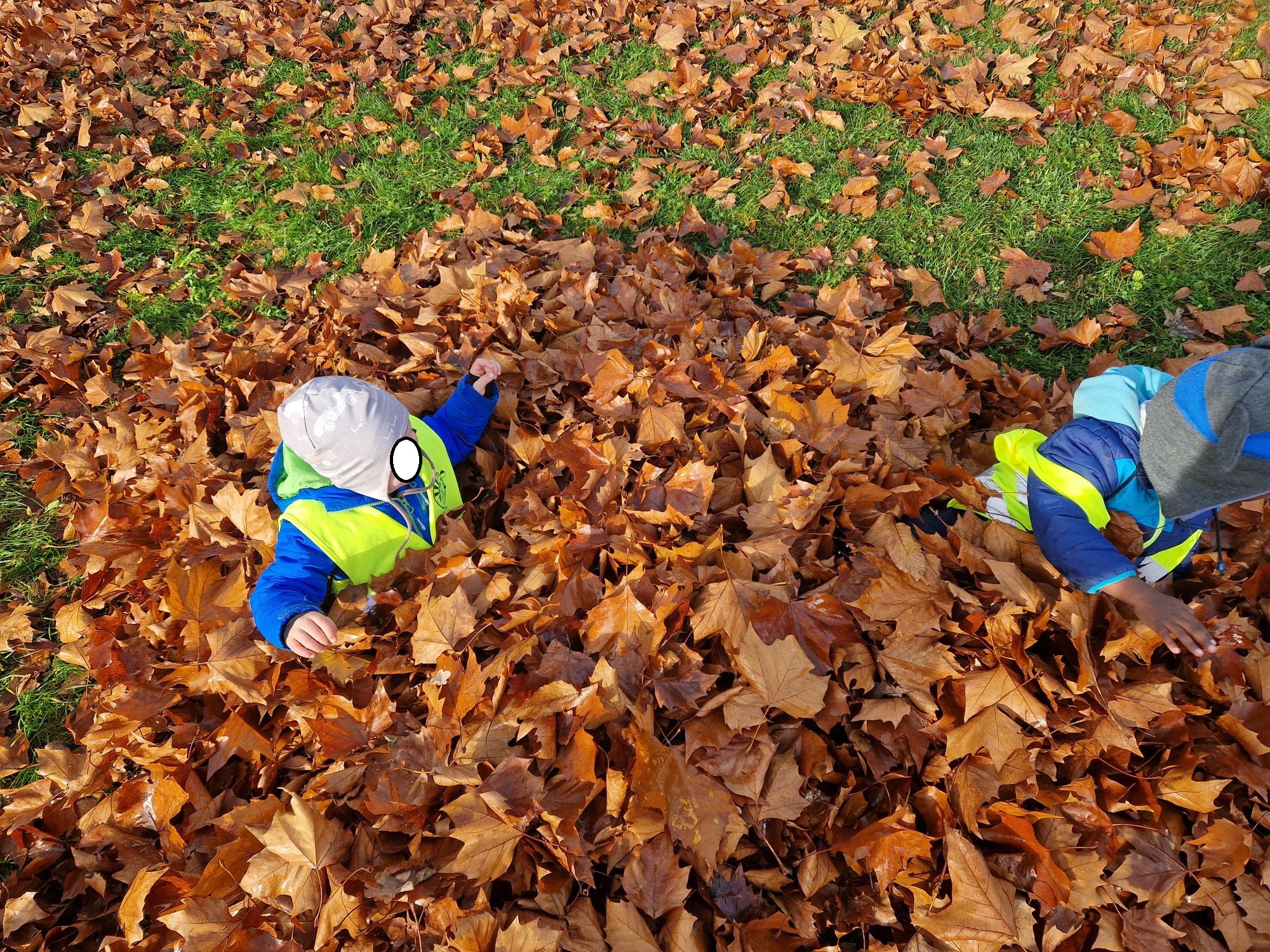 Herbstspaziergang Frösche