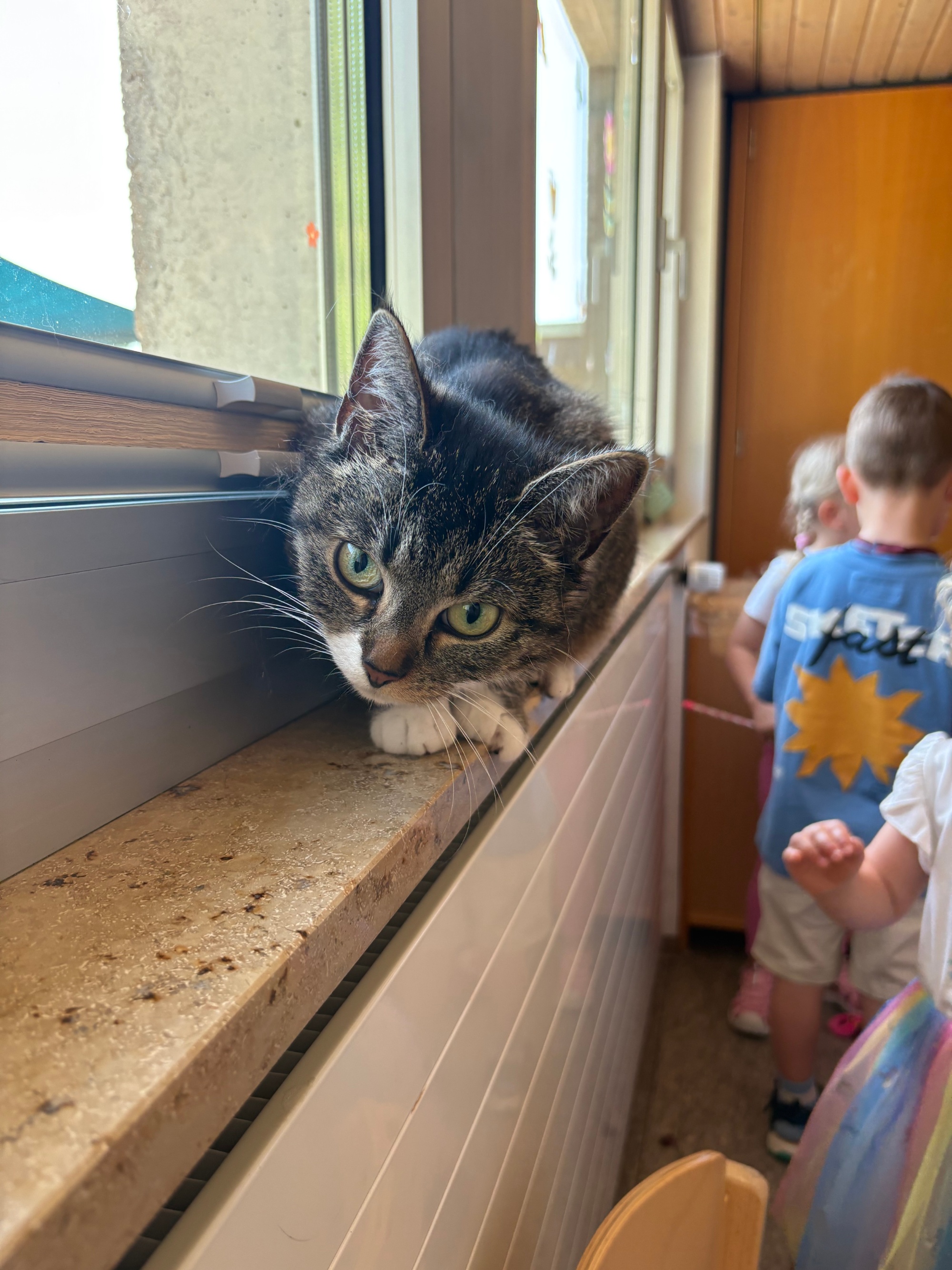 Katze Talia zu Besuch