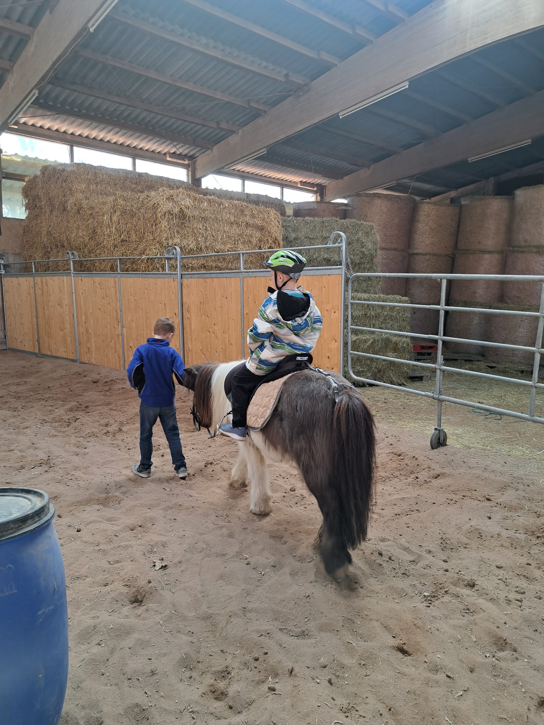 Ponyhof (2)