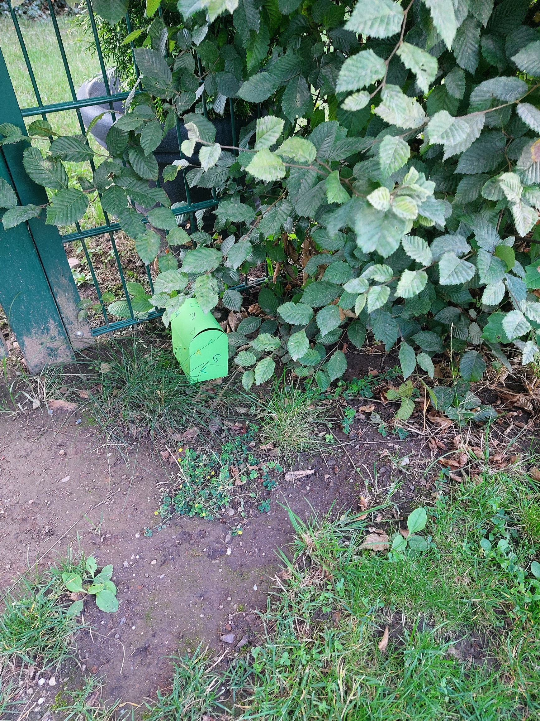 Schatz2
